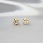 DIAMOND STUD-DIAMOND ORNAMENT-N Gopaldaas Jewellers-NGJ